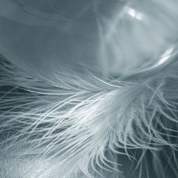 Blog Sonsoles Lopez Valdes Psicologa en Madrid