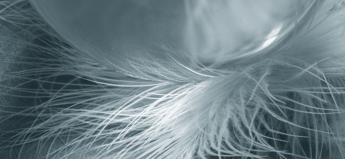 Blog Sonsoles Lopez Valdes Psicologa en Madrid