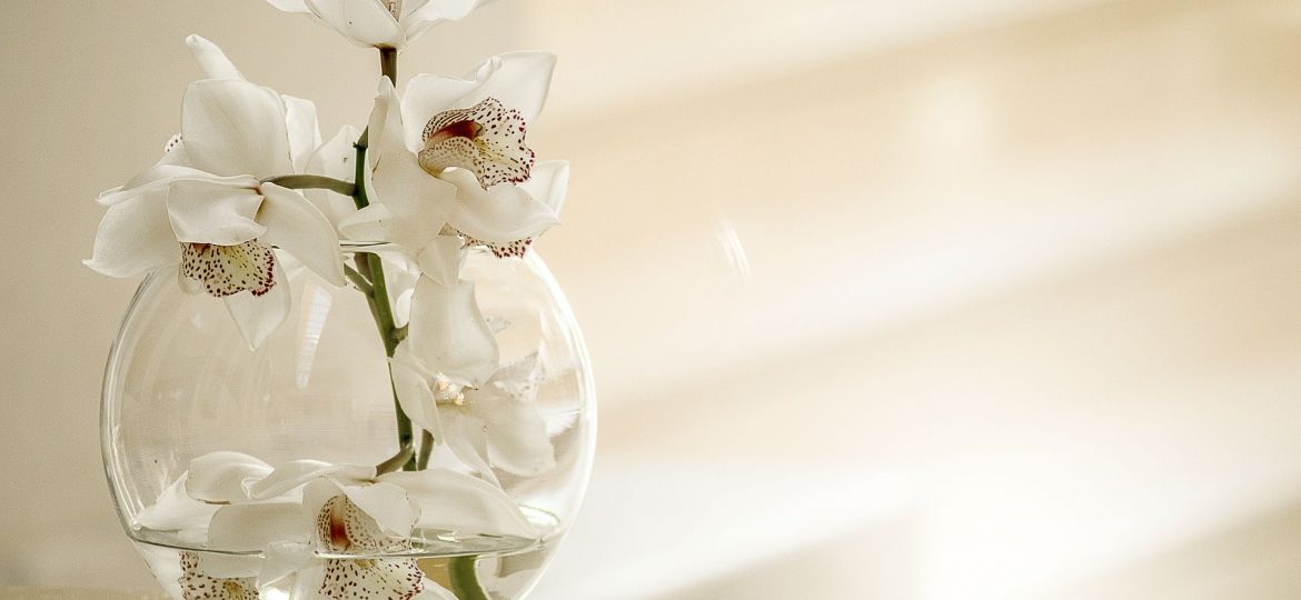 Blog Sonsoles Lopez Valdes Psicologa en Madrid